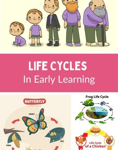 2 Content Parents and Educators Love - eBookStorify (2)